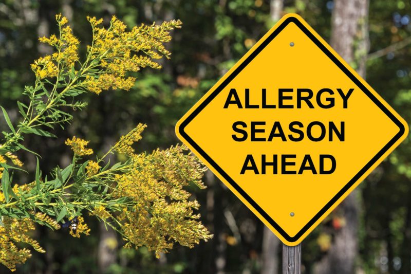 Featured image for “Tips for Managing Spring Allergies”